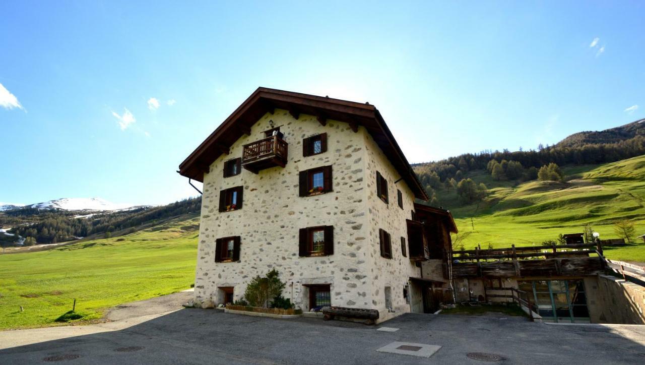 Mountain Milly Livigno